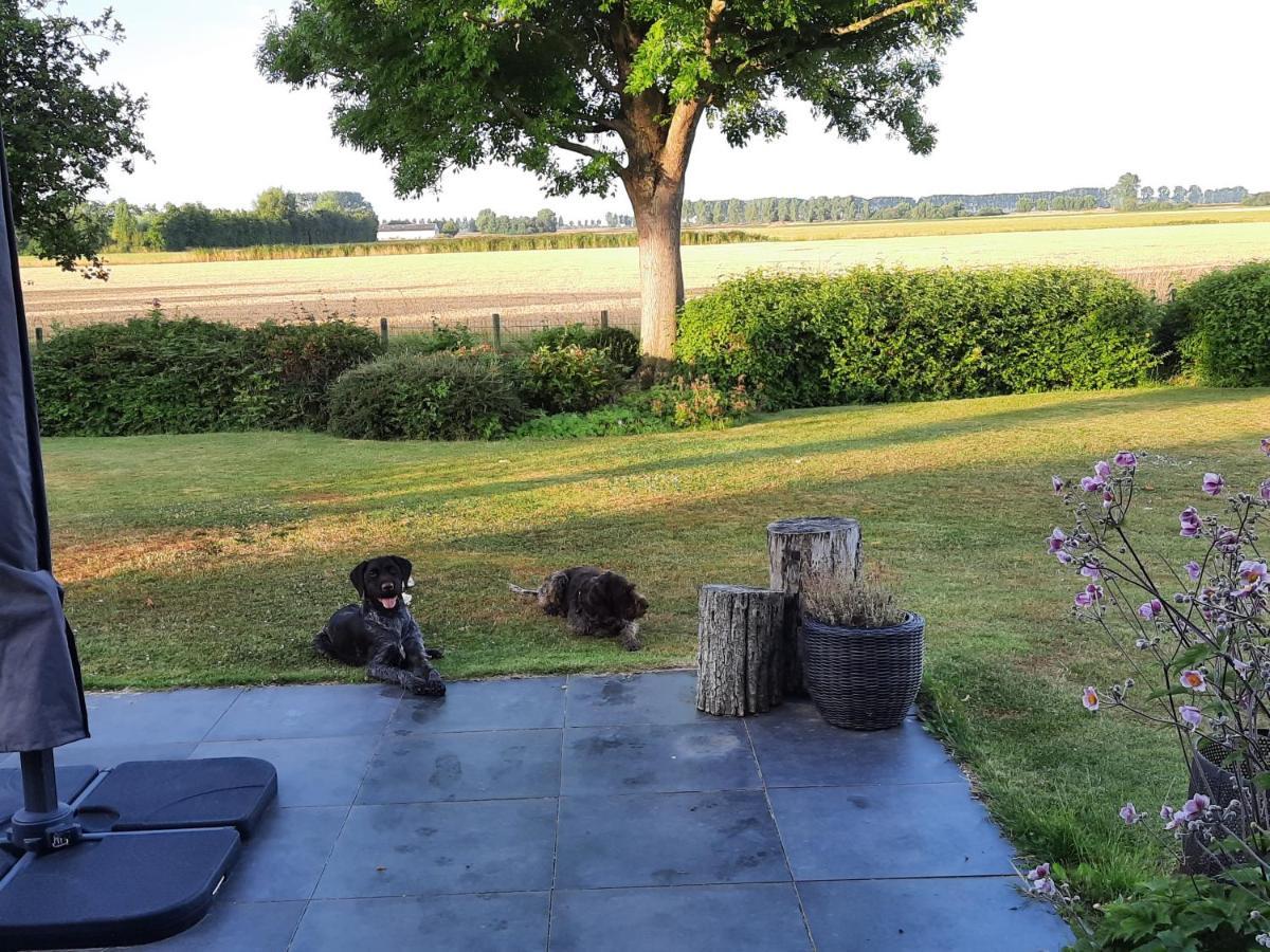 B&B Hieris'T Hoofdplaat Exteriör bild