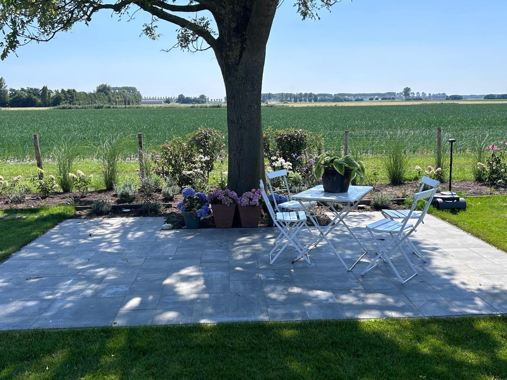 B&B Hieris'T Hoofdplaat Exteriör bild